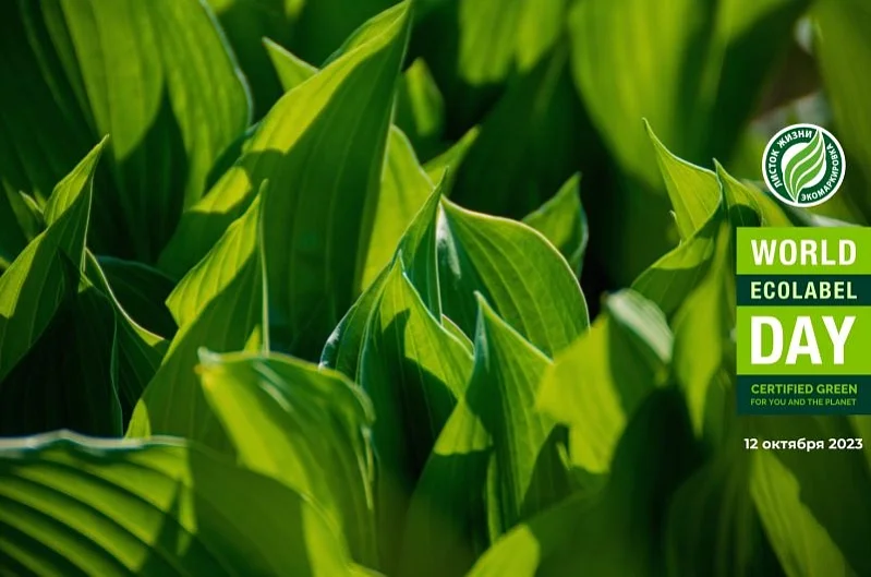 Экомаркировки: как покупки влияют на устойчивое развитие мира Экомаркировки: как покупки влияют на устойчивое развитие мира