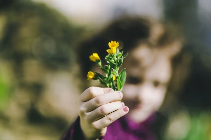 Учеба в школе с заботой о природе! Учеба в школе с заботой о природе!