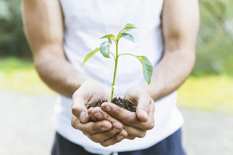 Эгоист VS Экологист: кем быть выгоднее? Эгоист VS Экологист: кем быть выгоднее?