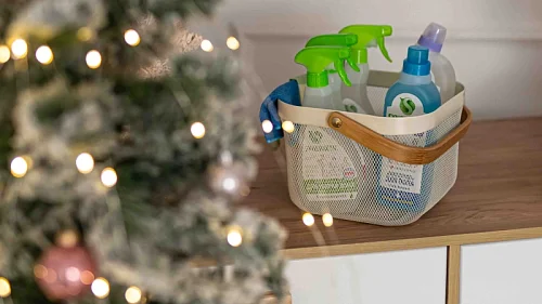 Как встретить Новый год экологично?