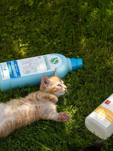 Любимые средства сотрудников SYNERGETIC!